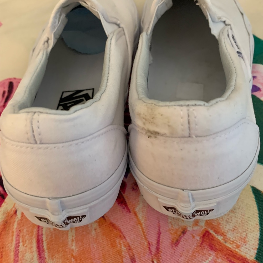 Vans - Picture 6 of 6